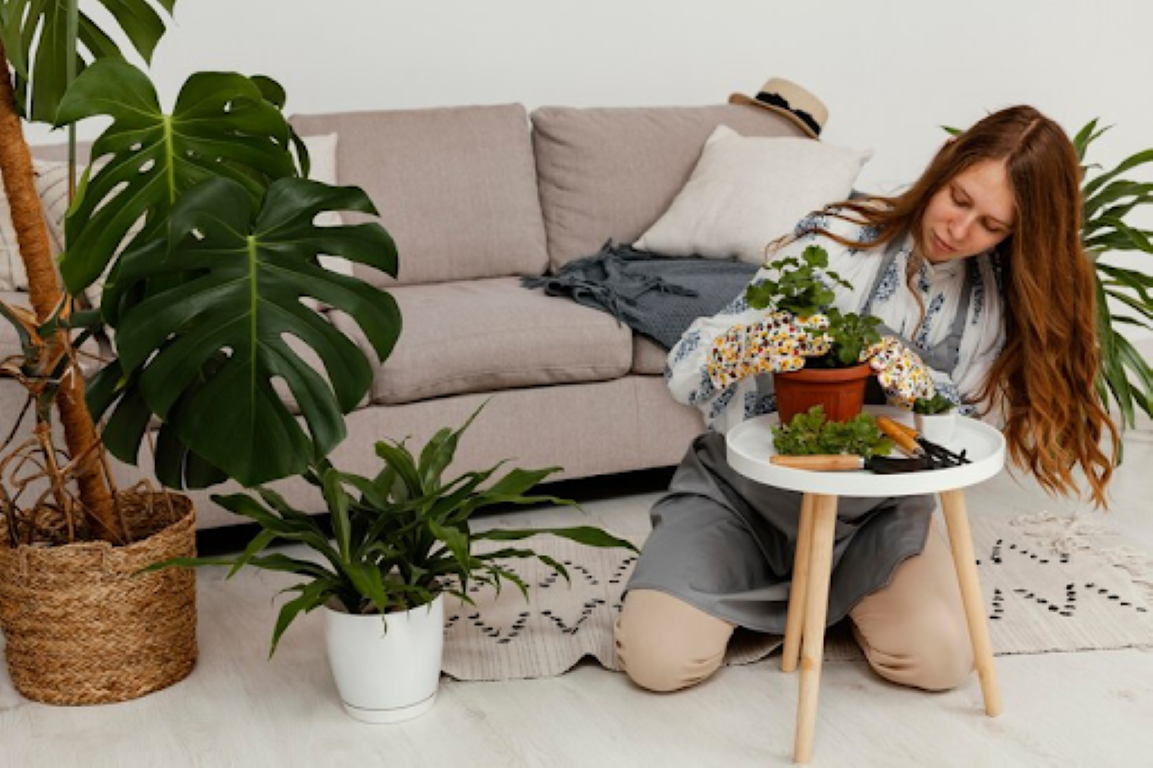 Decorate Your Home with Plants